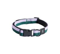 HAY Dogs Collar Flat men Pet Care green|purple en taille: ONE SIZE