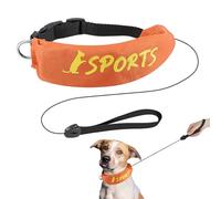 Collier de Chiot et Laisse, Laisse de Laisse de Chien | 2 en 1 Laisse et Collier pour Les Petits Chiens | Harnais à résistance à l'évasion réglable pour la Formation et l'obéissance, à mâcher