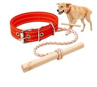 Collier de correction pour chien - Correcteur de vitesse avec barre et corde, collier de soin pour chien, pour maison, jardin, rue, promenade, parc, intérieur et extérieur