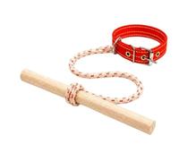 Collier De Dressage Pour Chien - Améliore Le Comportement Pendant Les Promenades Et Les Jeux | Aide Au Correcteur De Limiteur De Vitesse + Collier En Nylon Avec Barre Et Corde Avec Ajustement Réglable