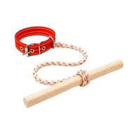 Collier de dressage pour chien - Correcteur de limiteur de vitesse avec corde, laisse de promenade pour chiot, contrôle du comportement dans le jardin, dispositif de contrôle extérieur et intérieur