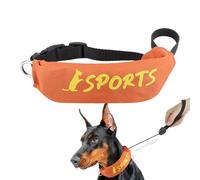 Collier de laisse pour chien, et laisse ensemble - Ensemble de courrier et collier 2 en 1 - Harnais d'échappement d'échappement réglable pour le contrôle des aboiements randonnée en