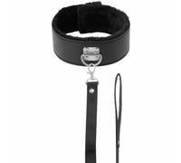 Collier De L'obscurité Avec Leash Titanium