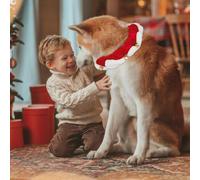 Collier de Noël pour Chien | Collier Élastique pour Chat | de Noël Ajustable pour Animaux avec Clochette pour Intérieur, Extérieur, Dressage et Maison