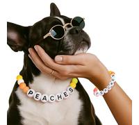 Collier de perles personnalisé pour chien avec nom, collier de bracelet d'amitié pour chiens et chats, collier de perles personnalisé avec boucle, cadeau personnalisable pour les amoureux des animaux