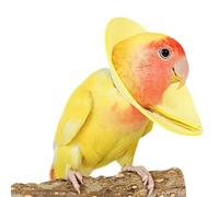 Collier de perroquet anti-morsure - Cone élisabéthain protecteur doux | Les colliers de prévention de la morsure doux pour section de pochette Budgegar Small Birds | Protecteur de plumes réglables con