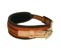 Collier de pistage Niggeloh Orange Blaze/ vert M