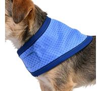 Collier de refroidissement pour chien pour l'été, réglable pour chiot | Tour de cou cool pour animal de compagnie | Pour les parents d'animaux domestiques, pour le , la marche, le camping, la