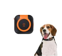Collier de suivi GPS pour animaux de compagnie - Traqueur de localisation en temps réel pour chiens et chats, gestion de la santé, compatible iOS/Android, étanche, localisateur de sécurité anti-perte