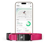 Collier de suivi intelligent pour chien Fi Series 3+ - GPS AI pour chiens, moniteur de santé et de comportement, clôture virtuelle, alertes d'évasion, étanche, compatible avec Apple Watch 12 Mo inclus