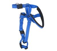 Collier De Tête pour Chien Ajustable en Nyon Respirant Harnais Traction Idéal pour Les Promenades en Plein Sécurité Et Confort Assurés Couleur Bleu