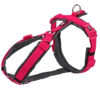 Collier de trekking premium 32-38 cm/13 mm fuchsia/gris