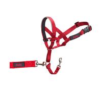Collier d'entraînement pour chiens Company of Animals Halti Muselière (46-62 cm)
