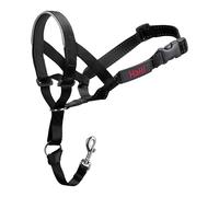 Collier d'entraînement pour chiens Company of Animals Halti Noir Muselière (40-54 cm)