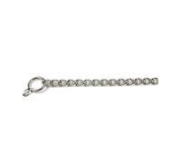 Collier d'étranglement à longues mailles en acier inoxydable pour chiens Record