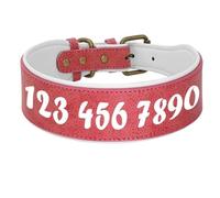 Collier d'identification large rembourré personnalisé en cuir synthétique pour chien - Collier réglable anti-perte pour chiens de taille moyenne à grande - A, 2XL