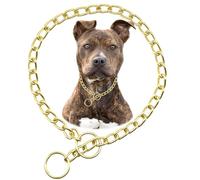 Collier doré pour chien, collier robuste pour le dressage, chaînes martingales anti-mastication pour chiots et chiots de petite, moyenne et grande taille
