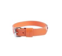 Collier double épaisseur cuir pour chien Martin Sellier 40/95 Orange TU