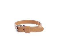 Collier double épaisseur cuir vachette pour chien Martin Sellier 25/55 Marron TU