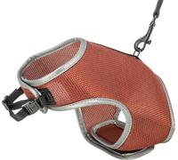 Collier doux avec laisse rouille