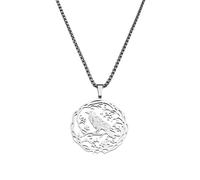 Collier élégant en acier inoxydable avec pendentif colibri - Bijoux tendance pour couple, taille unique, Comme décrit, Comme décrit.