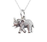 Collier éléphant réaliste en argent sterling 925. Esprit | LK_NLC_03085 | sign. water vessel astrology symbol. ruling planet uranus double sided coin design with 18 inch chain