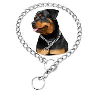 Collier en argent pour chien, collier robuste pour le dressage, chaînes martingales anti-mastication pour chiens de petite, moyenne et grande taille