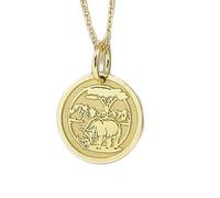 Collier en argent sterling 925 26 mm | Chaîne de 45 cm | Pendentif rhinocéros | Bijou africain nature rhinocéros | Breloque forêt africaine | Pendentif rhinocéros | Disque rhinocéros plaqué or | 00072
