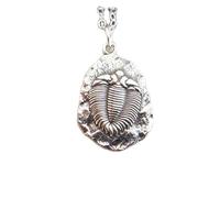 Collier en argent sterling 925 avec fossile de trilobite. Petit pendentif représentant une vie marine ancienne. Breloque représentant un arthropode disparu. Cadeau pour biologiste naturaliste