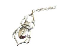 Collier en argent sterling 925 avec pendentif en forme de lucane cerf, petit insecte, esprit animal, totem, symbole de transformation, bijoux, charme de force | avec chaîne de 45 cm | plaqué argent