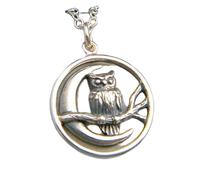 Collier en argent sterling 925 avec petit hibou sur branche et pendentif croissant de lune. Bijou simple, symbole de sagesse animale. Breloque oiseau | Chaîne de 45 cm | Plaqué argent | L_PN_0641