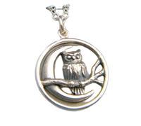Collier en argent sterling 925 avec petit hibou sur une branche et pendentif croissant de lune. Bijou simple, symbole de sagesse animale. Breloque oiseau|Chaîne de 45 cm|Plaqué argent|LK_PNK_3119
