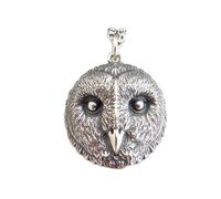 Collier en argent sterling 925 avec tête de chouette effraie. Animal spirituel bohème. Pendentif tête d'oiseau réaliste, symbole de sagesse et de connaissance, bijou de fin d'études | Avec chaîne