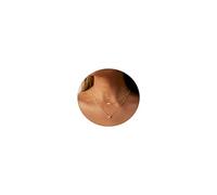 Collier en Couches en Or/Argent pour Femmes Colliers de Pendentif Multicouche Minimaliste élégant