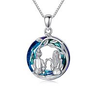 Collier en cristal de soeur en argent sterling 925 Always My Sister Forever My Friend Collier avec pendentif d'amitié pour femme et fille Cadeaux de bijoux d'anniversaire de soeur pour soeur