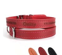 Collier en Cuir personnalisé pour Chiens/Chiots | Concevez Une Identification Unique pour Votre Animal | Gravure Laser - Taille 6, Rouge