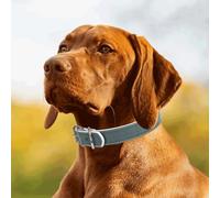 Collier en Cuir PU résistant pour Chiens, réglable et Durable, idéal pour Les promenades et l'entraînement des Animaux.