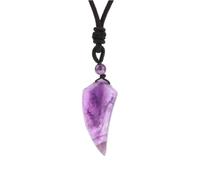 Collier en Pierre Naturelle avec Pendentif dent de Loup, améthyste, œil de Tigre, pendentifs en Cristal, Bijoux d'halloween pour Homme et Femme, améthyste, Taille Unique