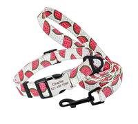 Collier et Laisse personnalisés pour Chien, Collier en Nylon imprimé personnalisé, Laisse de 150 cm avec nom gravé(159 White Set,M)