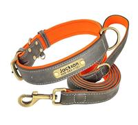 Collier et Laisse pour Chien en Cuir Rembourré Doux Personnalisé, Ensemble Collier en Cuir Personnalisé pour Petits, Moyens et Grands Chiens, Plaque Signalétique Gravée Gratuite Gray Set,XL