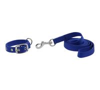 Collier et laisse pour chien Riding World Oscar Bleu 40 cm