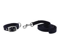Collier et laisse pour chien Riding World Oscar Bleu 60 cm