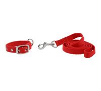 Collier et laisse pour chien Riding World Oscar Rouge 40 cm
