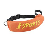 Collier et laisses 2 en 1 pour chien - Ensemble de laisses 2 en 1, ajustable, anti-mastication, anti-fuite, pour l'entraînement, l'obéissance, la chasse, la randonnée, la course à pied, étanche la