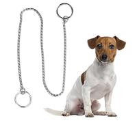 Collier étrangleur élégant en Acier Inoxydable pour Chien, Chaîne en P en Métal pour Chiot, Collier Ras du Cou pour Animaux de Compagnie pour L'entraînement à la Marche pour Petits,(3.0mm*40cm)