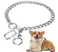 Collier Etrangleur pour Chien, Colliers de Chien de chaîne en métal en Acier Inoxydable à mâcher Collier Collier P Collier de chaîne avec Fermoir de Connexion pour l'entraînement et Les promenades