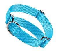 Collier étrangleur pour chiens, collier martingale pour chiens de taille moyenne, robuste, antidérapant, anti-traction - Collier ras du cou pour chiens de petite, moyenne et grande taille (bleu ciel
