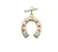 Collier - Femme/Homme - Pendentif - Fer Cheval - Porte Bonheur - Plaqué Or Jaune 750/1000 - 3 Microns - 50 cm