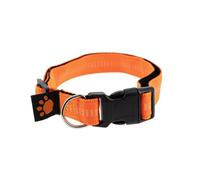 collier flash M/L - collier chien réfléchissant