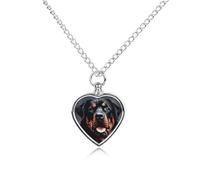 Collier funéraire pour animaux de compagnie - Bijou commémoratif pour chien/chat avec entonnoir, pendentif en forme de cœur et chaîne de 70,1 cm, collier urne cool pour chien Rottweiler
